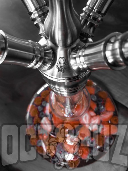 octopuz-shisha